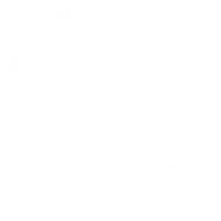 全球物流网络