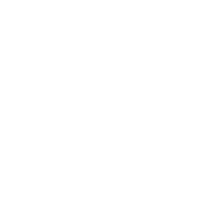 Express service